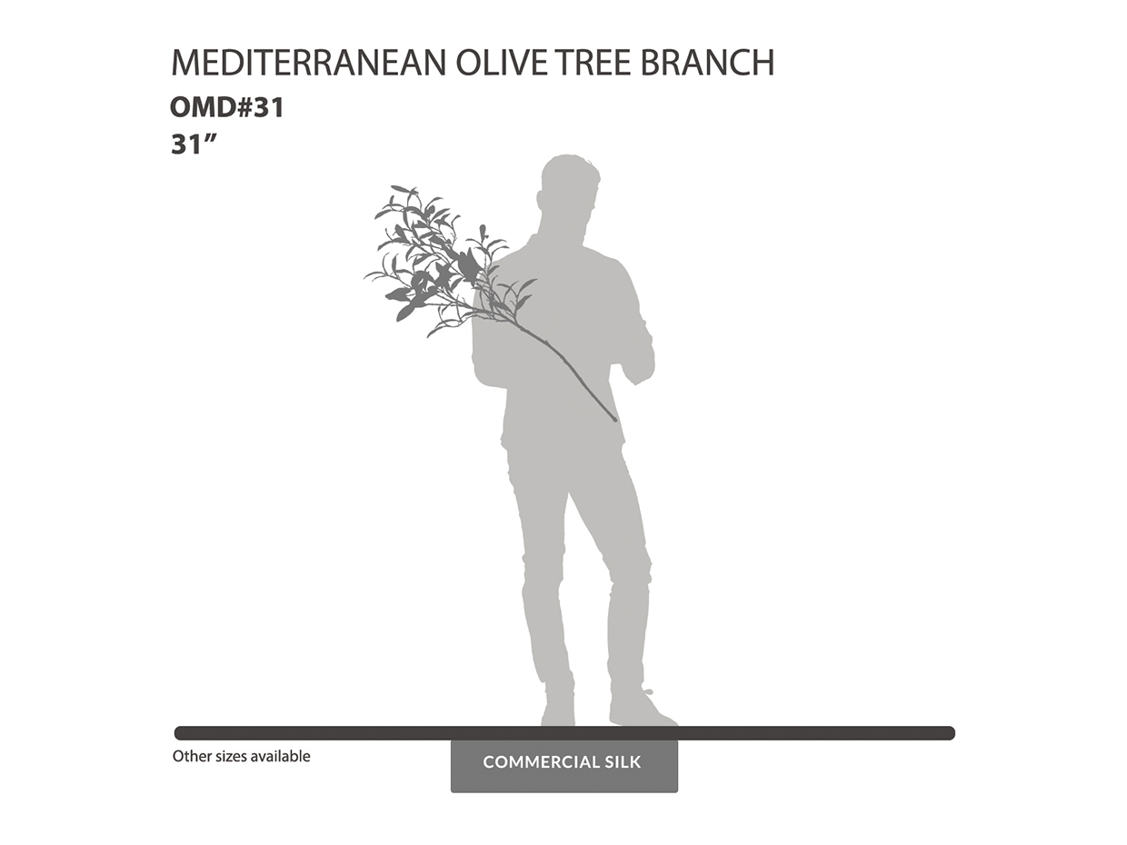 Mediterranean Olive Spray ID# OMD#31