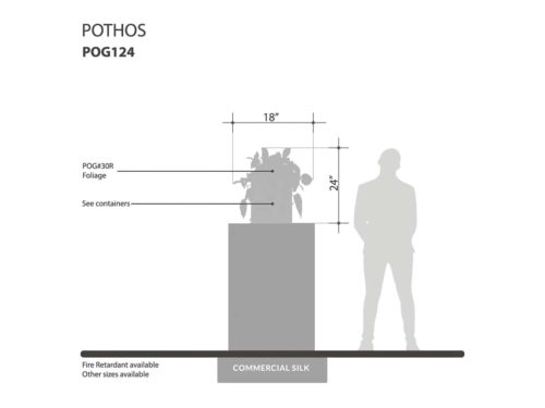 Pothos Vine ID# POG124