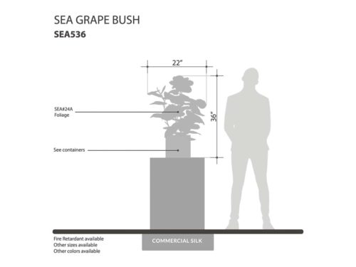 Sea Grape Plant, Autumn ID# SEA536A