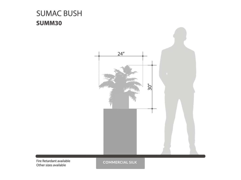 Sumac Plant ID# SUMM18
