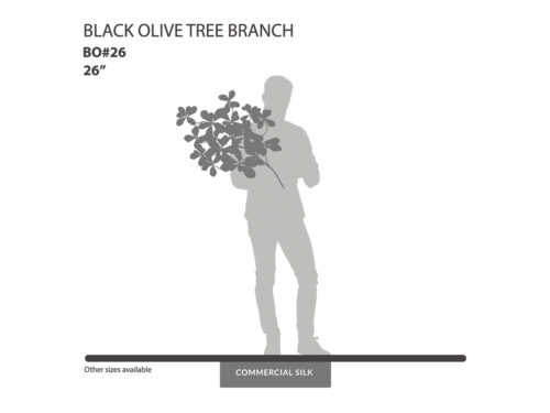 Black Olive Foliage ID# BO#26