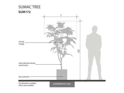 Sumac Tree ID# SUM172