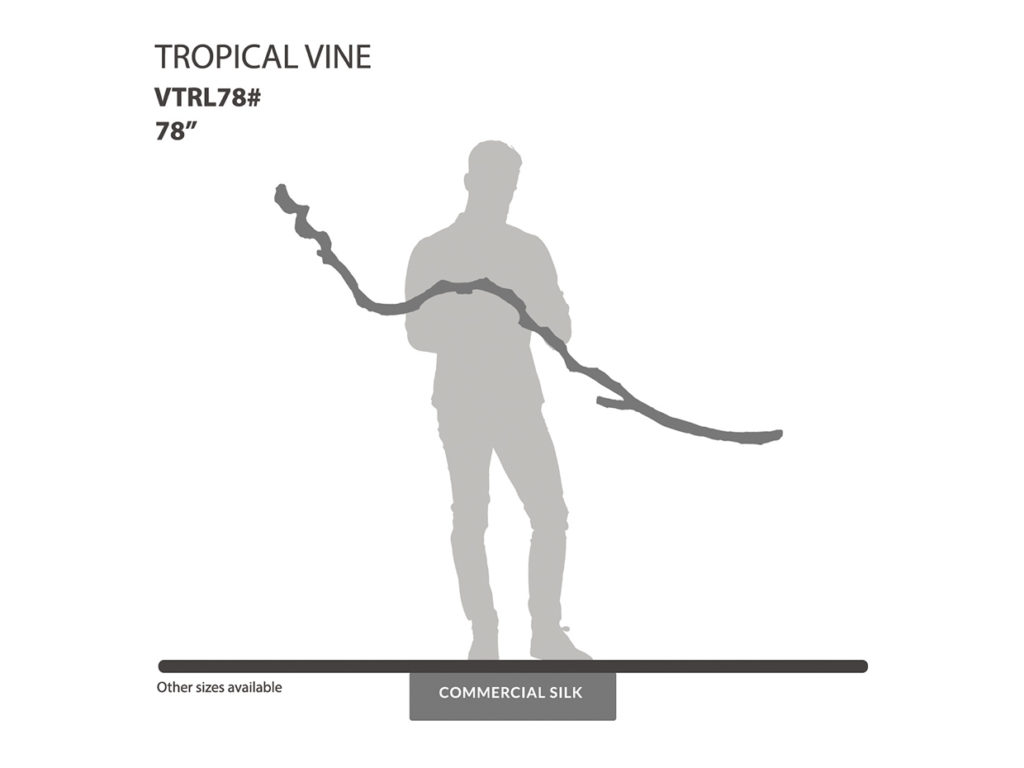 Vine Generic Vine Vine, Tropical ID# VTRL78#