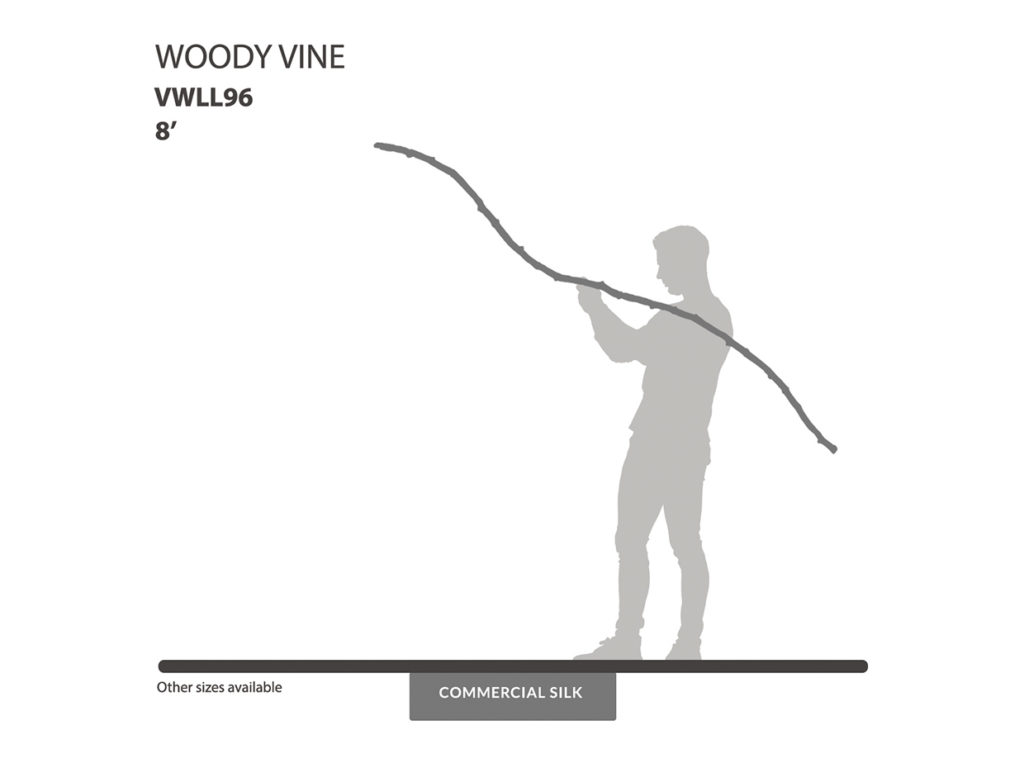 Woodland Vine ID# VWLL96