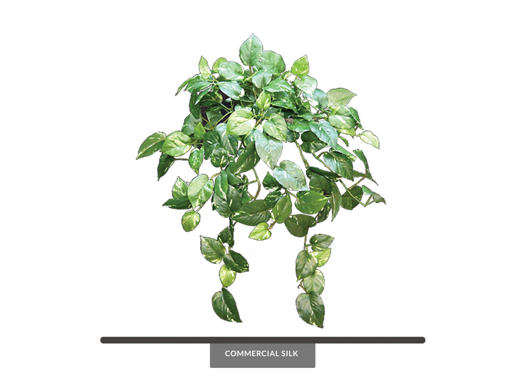 Artificial Pothos Vines Foliage