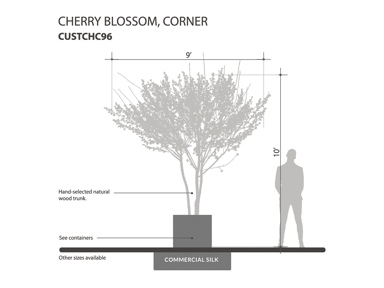 Cherry Tree, Corner ID# CUSTCHC96
