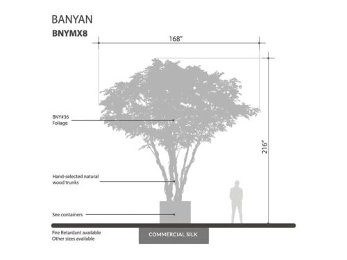 Banyan Tree, Giant ID# 17583