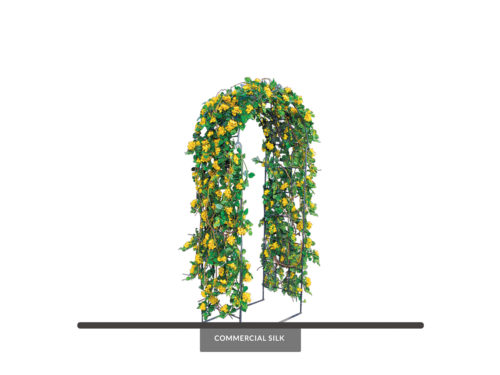 Garden Arbor Plant 