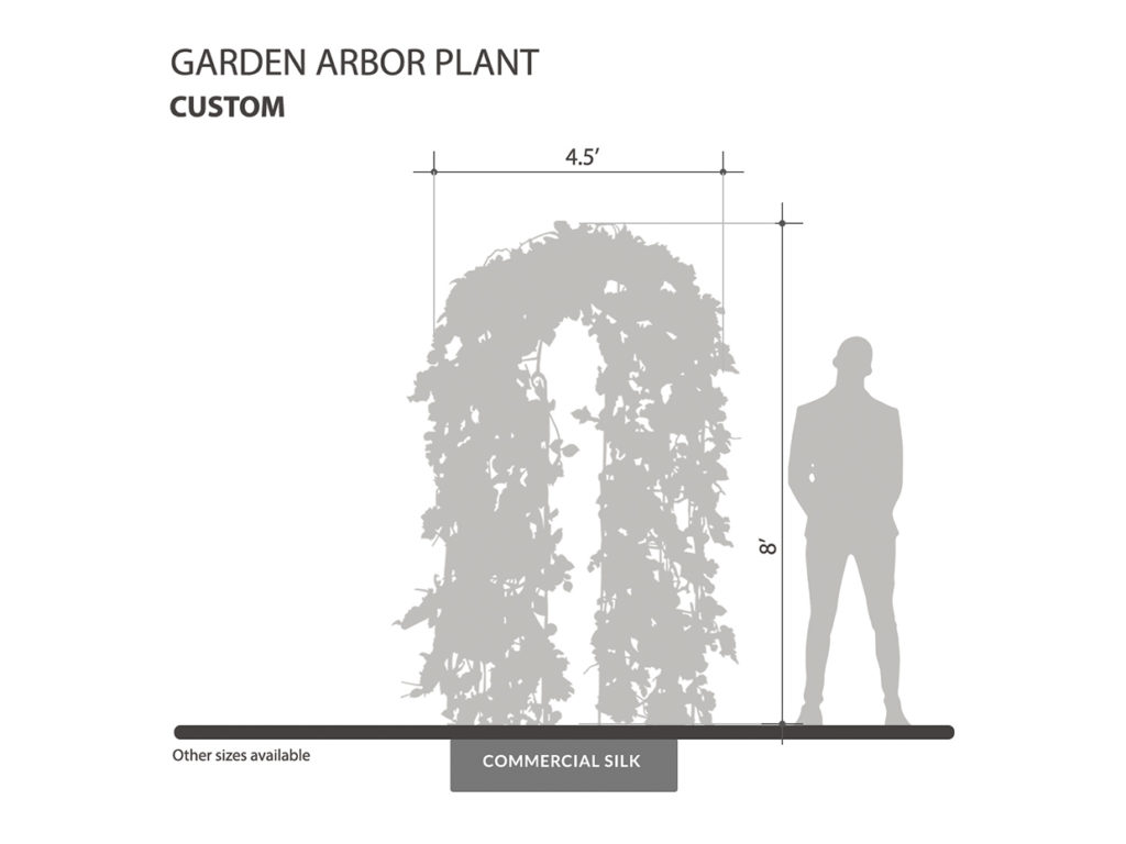 Garden Arbor Plant 