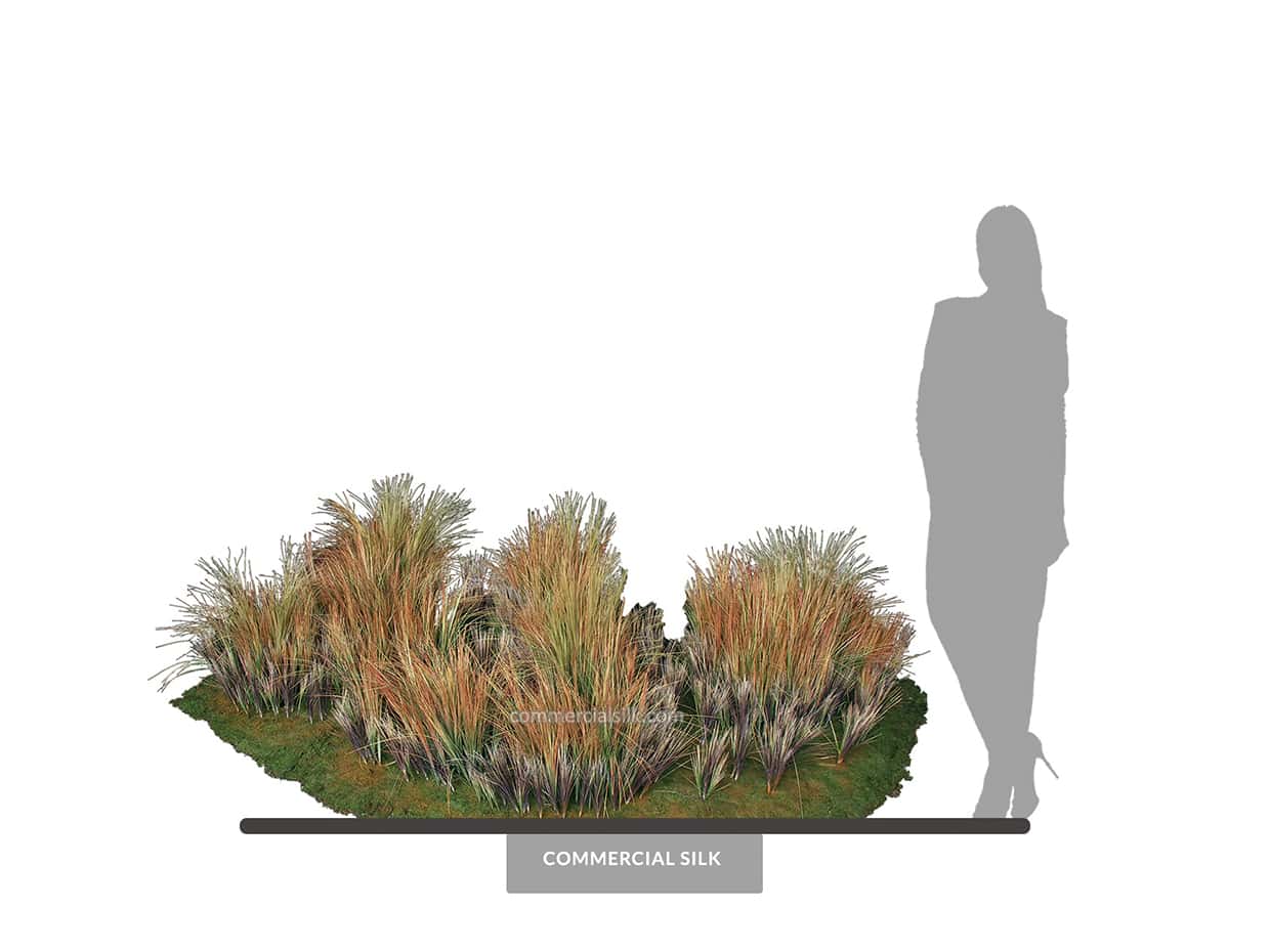 Ornamental Prairie Grass for Landscaping ID# 12414
