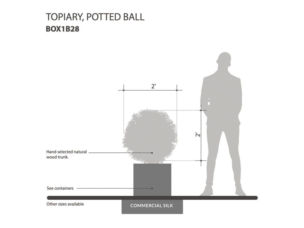 Potted Topiary Balls ID# BOX1B28
