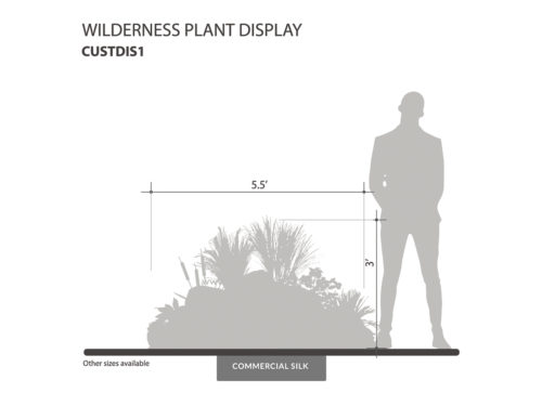 Wilderness Plant Display ID#CUSTDIS1