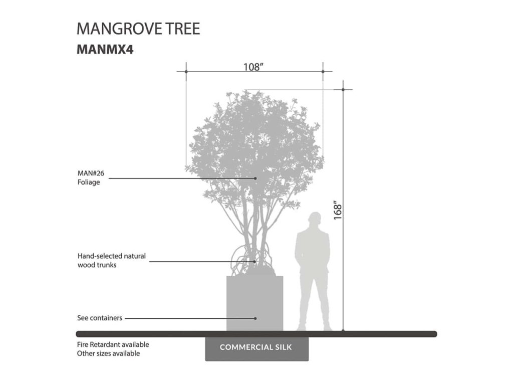 Mangrove Tree ID# MANMX4