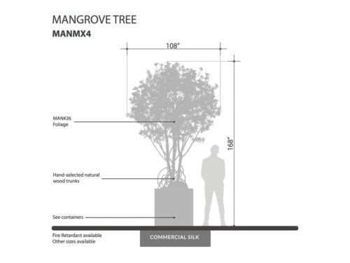  Mangrove Tree ID# MANMX4