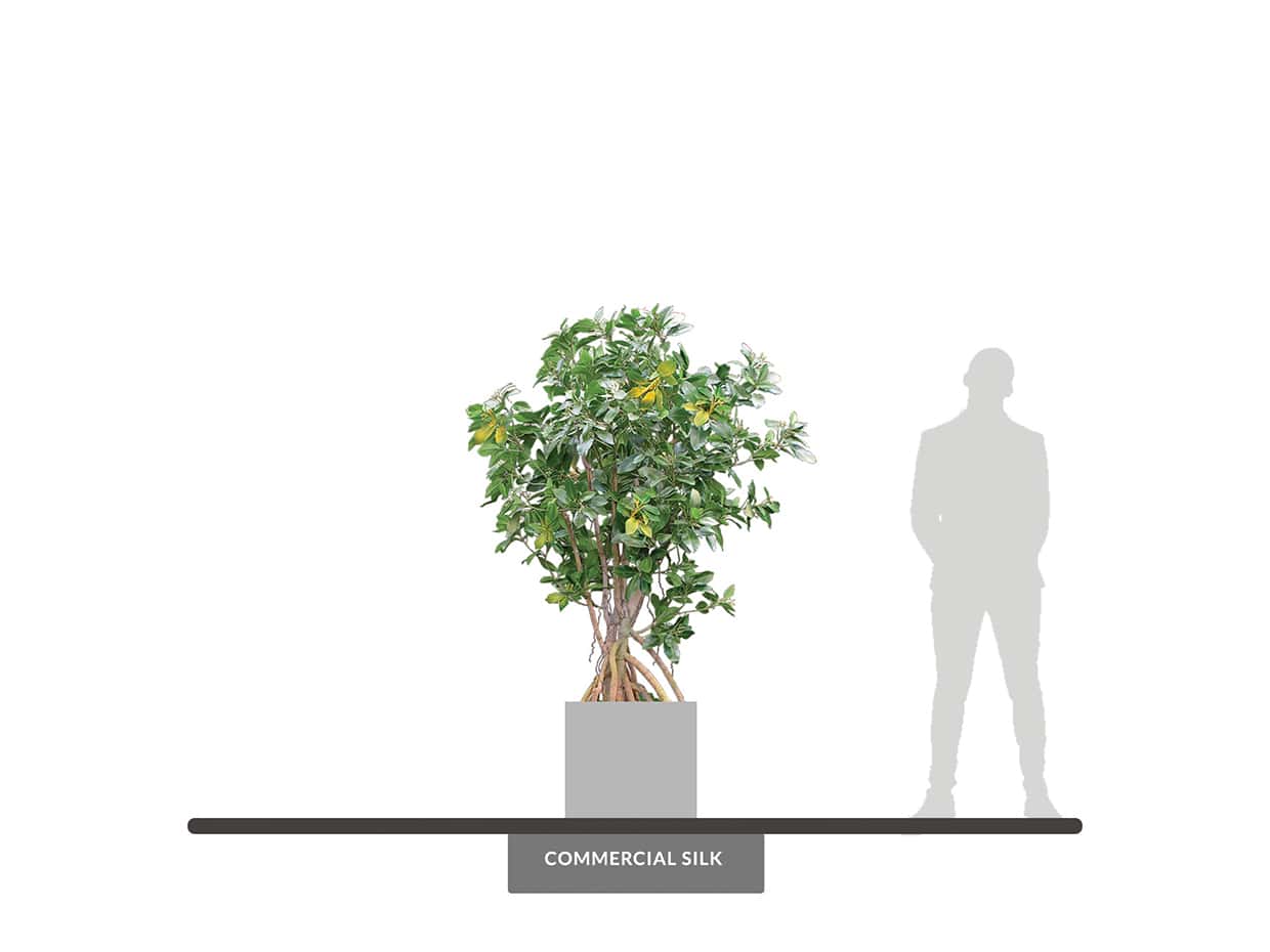 Mangrove Tree Artificial Indoor Tree Commercial Silk