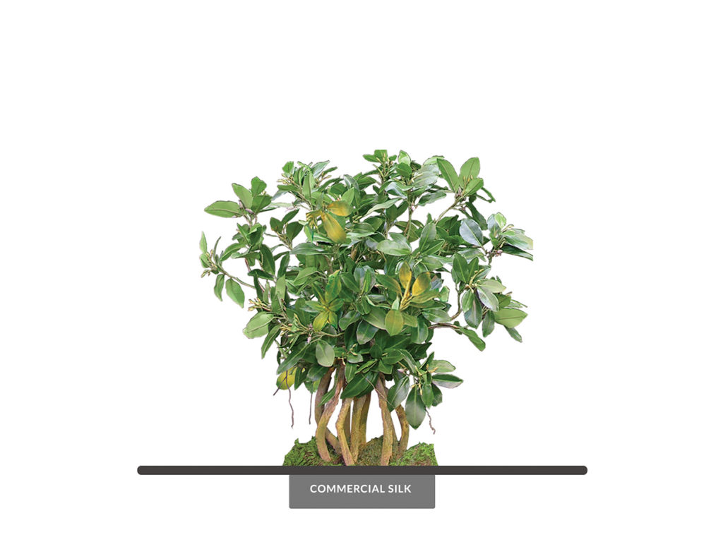 Artificial Mangrove Indoor Plant