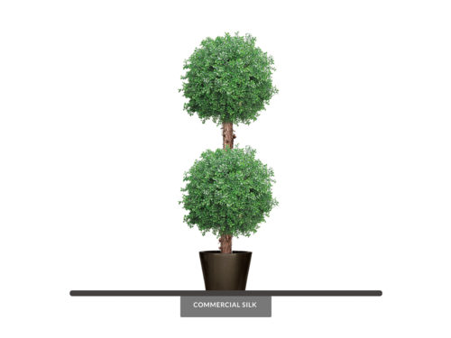 Outdoor Boxwood Sphere ID# BOX2B72+