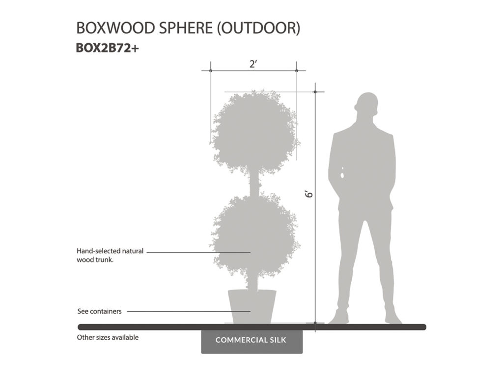 Outdoor Boxwood Sphere ID# BOX2B72+
