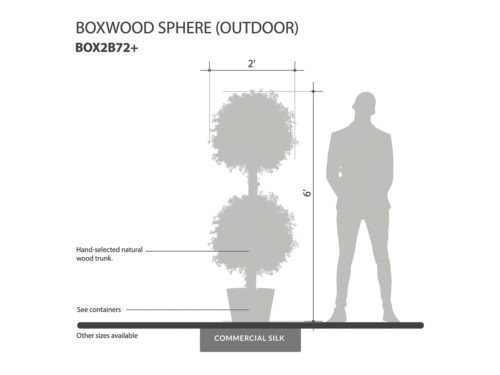 Outdoor Boxwood Sphere ID# BOX2B72+