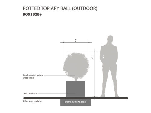Outdoor Potted Topiary Balls ID# BOX1B28+