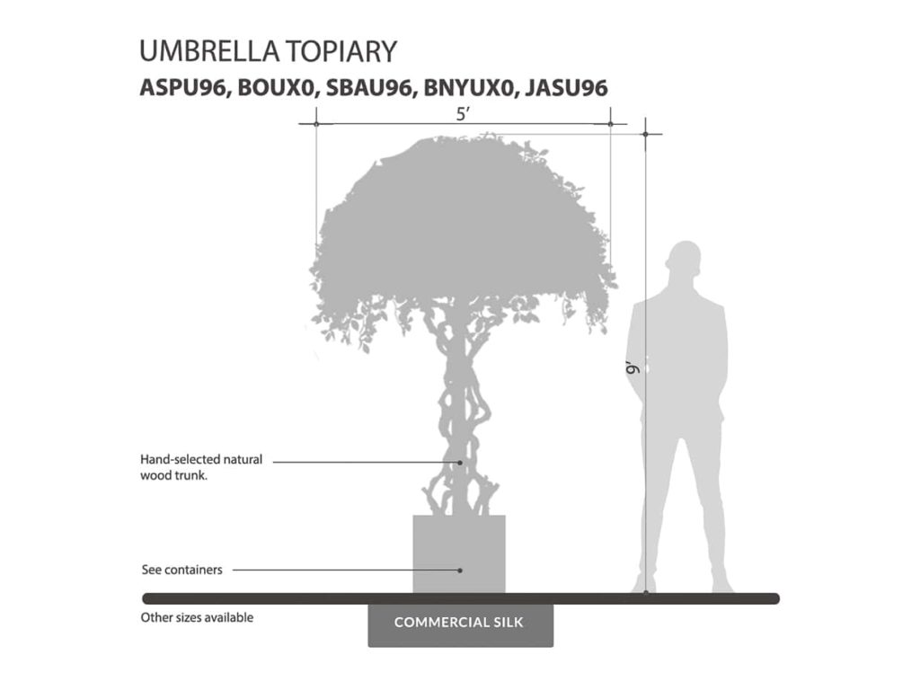 Umbrella Tree, Topiary ID# 4779