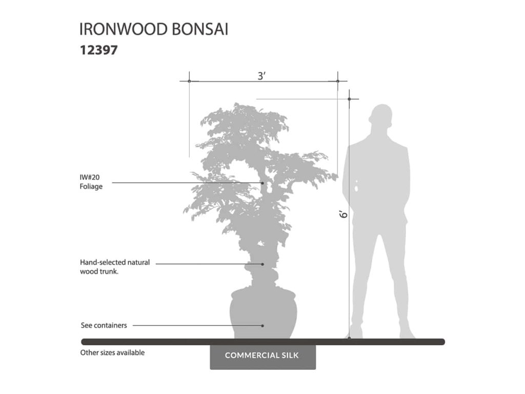 Ironwood Bonsai Tree ID# 12397