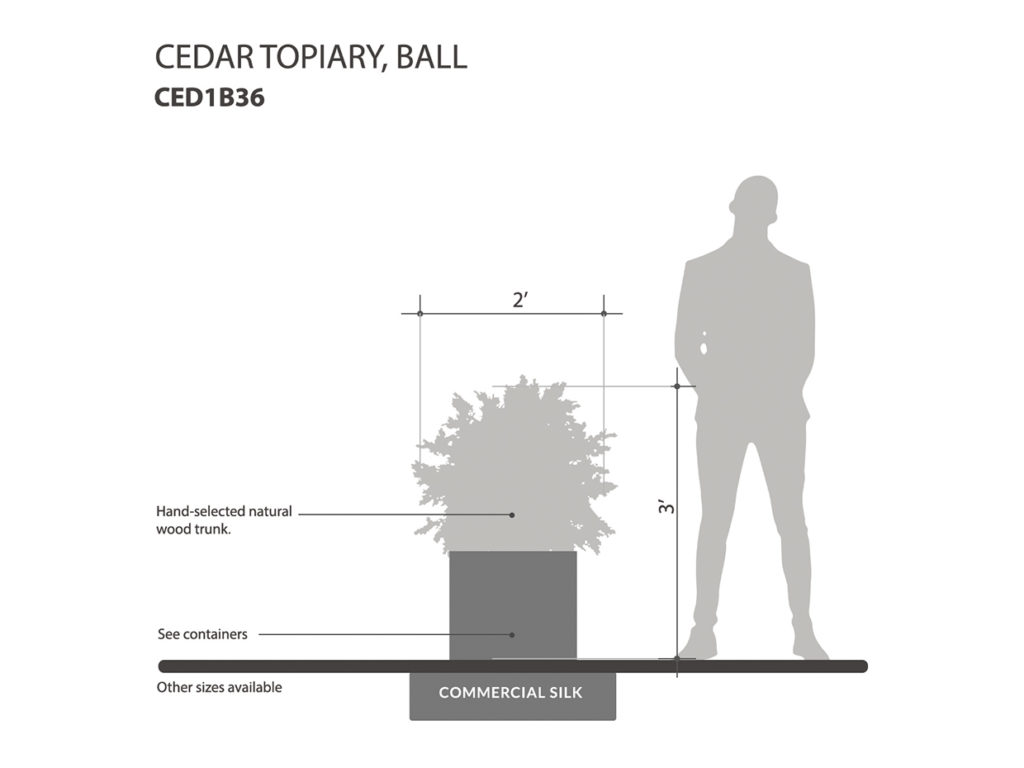 Cedar Ball Topiary ID# CED1B36
