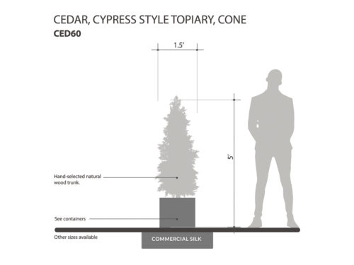 Cedar Cypress Topiary  ID# CEDC60