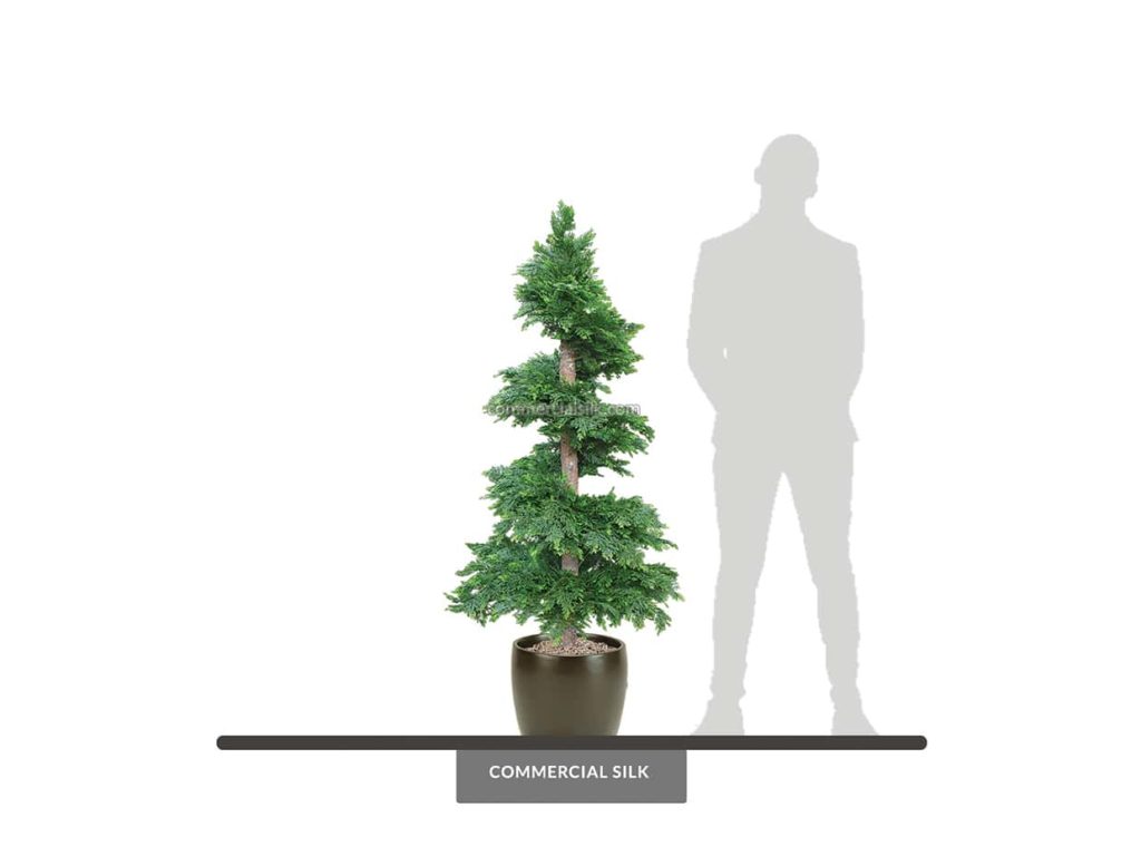 Cedar Tree, Outdoor, 11' ID# CED1X0+