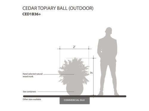 Outdoor Cedar Ball Topiary ID# CED1B36+
