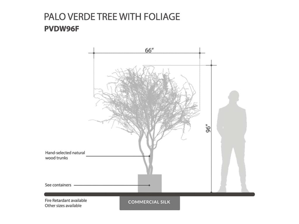 Palo Verdo Tree ID# PVDW96F