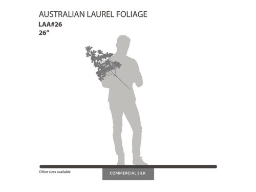 Australian Laurel Spray, Green ID# LAA#26