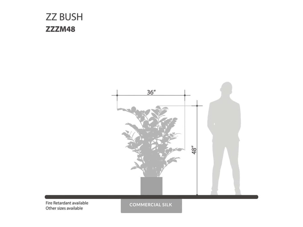 ZZ Plant ID# ZZZM48