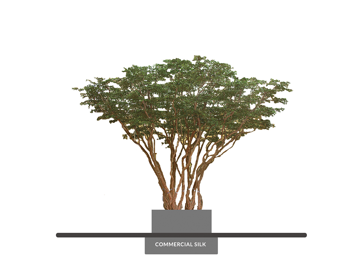 Artificial Black Olive Tree Exotic