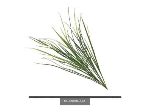 Dune Grass Foliage ID# GDU#37LG