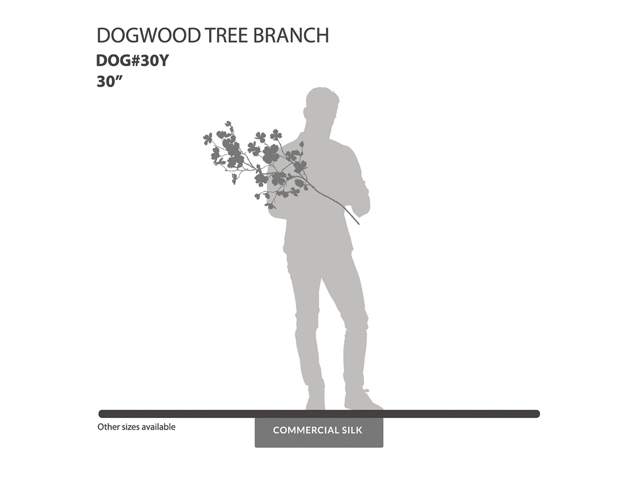 Dogwood Spray, Flowering ID# DOG#30Y
