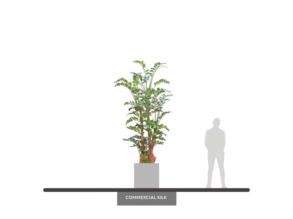 ZZ Tree, 13' ID# ZZZMX2