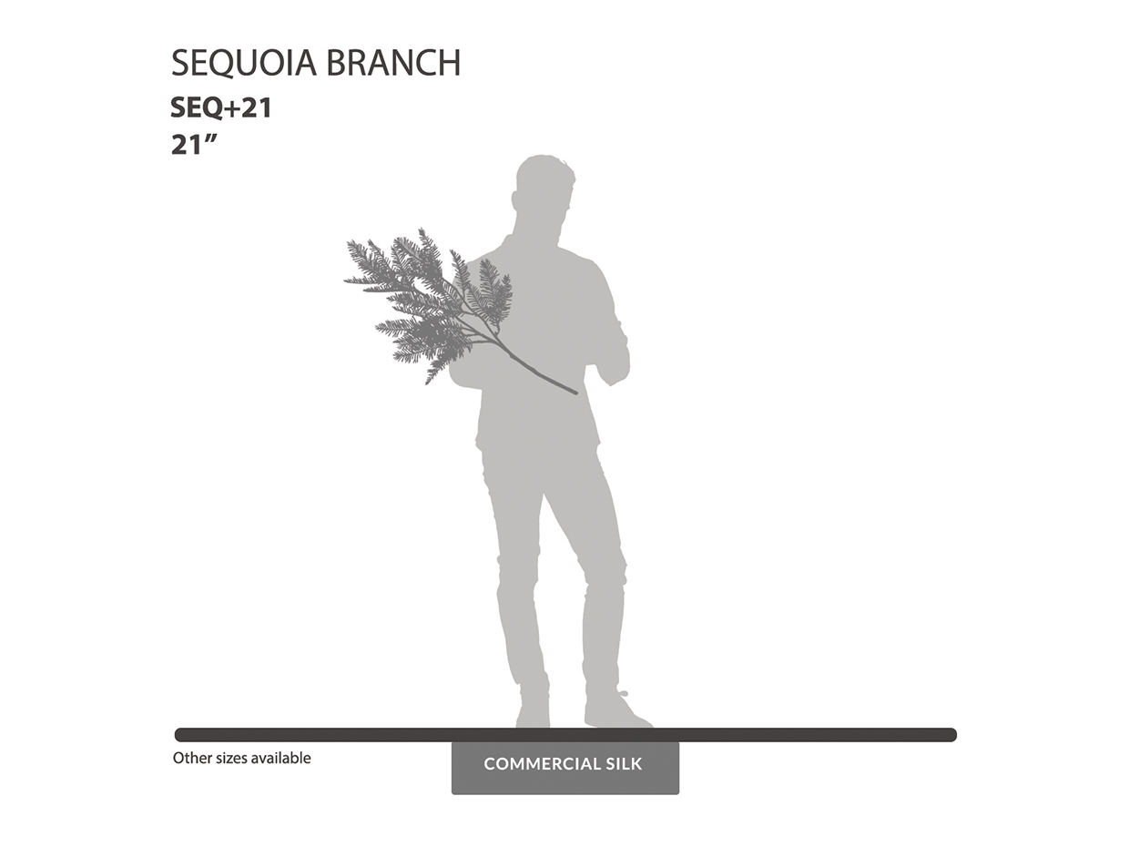 Sequoia Spray ID# SEQ+21