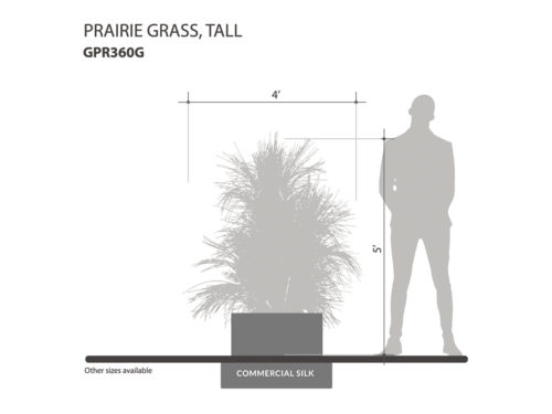 Tall Ornamental Prairie Grass ID# GPR360G