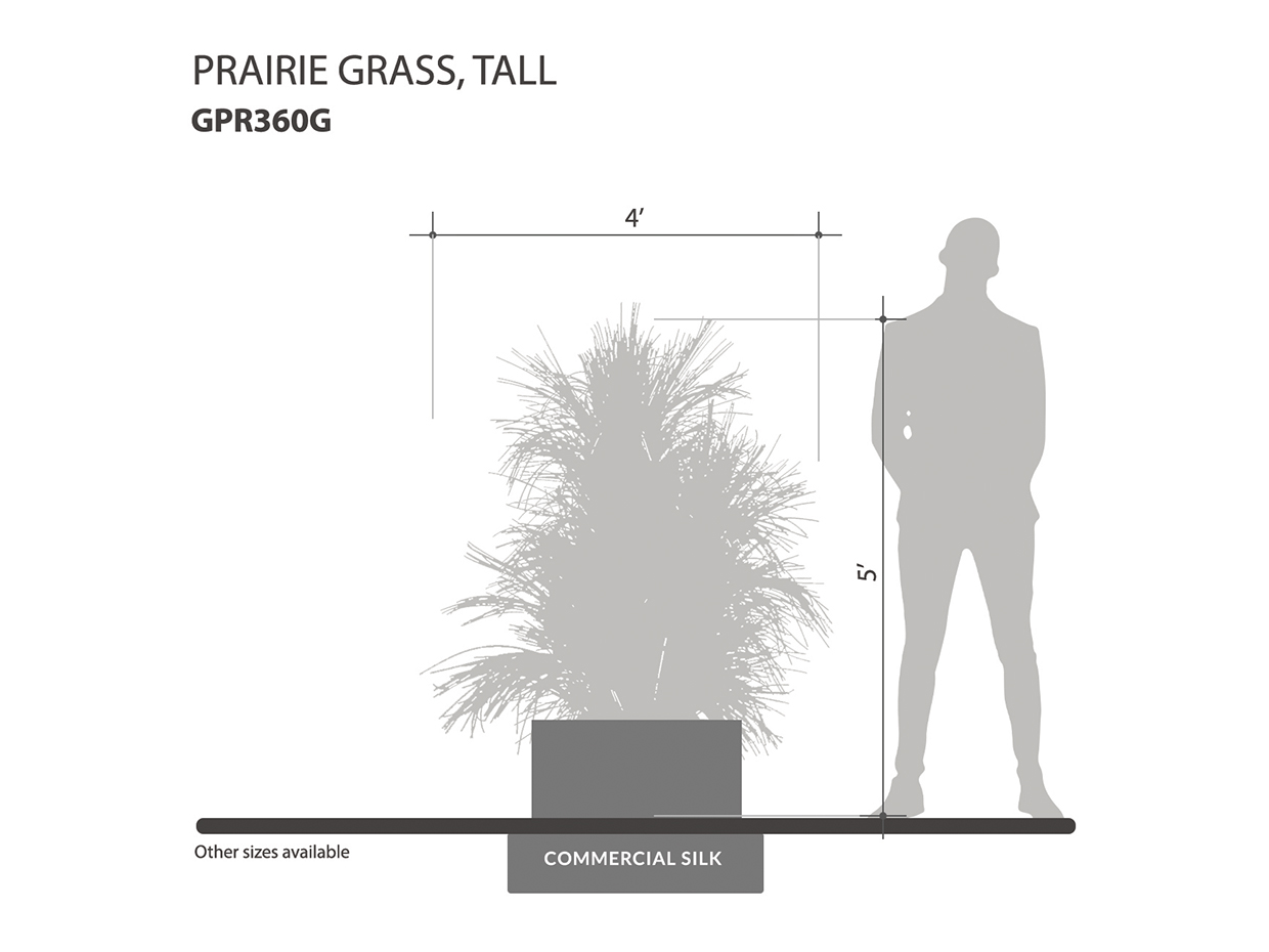 Tall Ornamental Prairie Grass ID# GPR360G