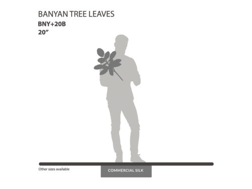 Banyan Tree Leaves ID# BNY+20B
