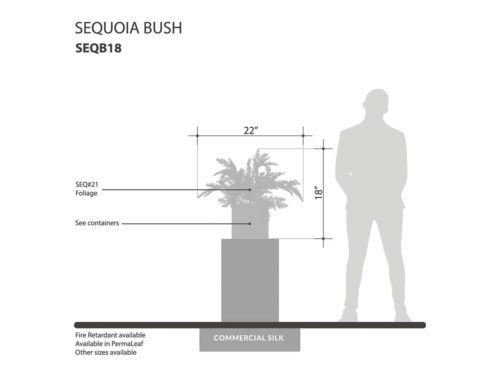 Sequoia Plant (exterior) ID# SEQB18+