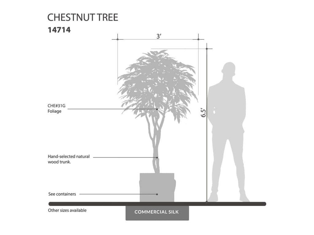 Chestnut Tree ID# 14714