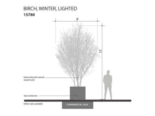 Winter Birch Tree, With Lights ID# 15780