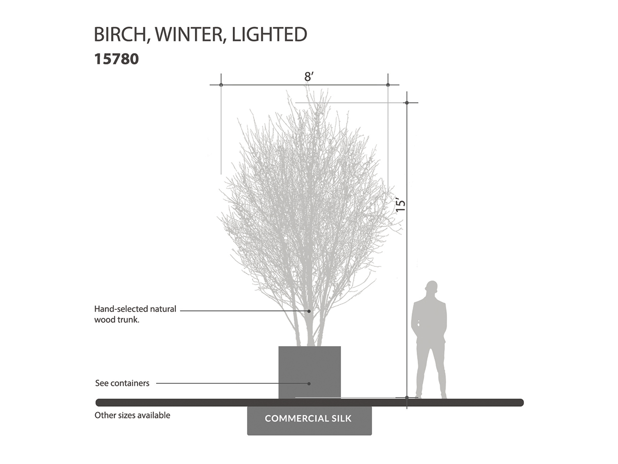 Winter Birch Tree, With Lights ID# 15780