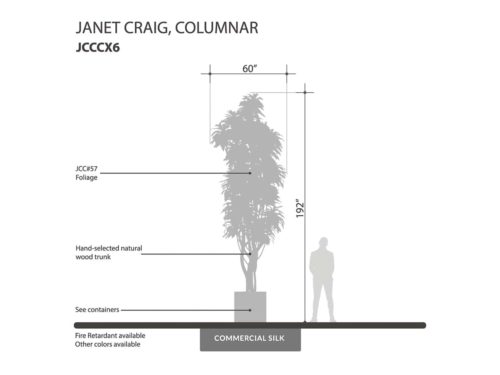 Janet Craig Tree, Columnar, Limelight ID# JCCCX6L