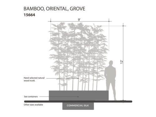 Bamboo Tree Wall, 14' ID# 15664