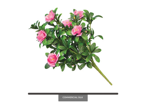 Azalea Flower Bush ID# AZA+18P