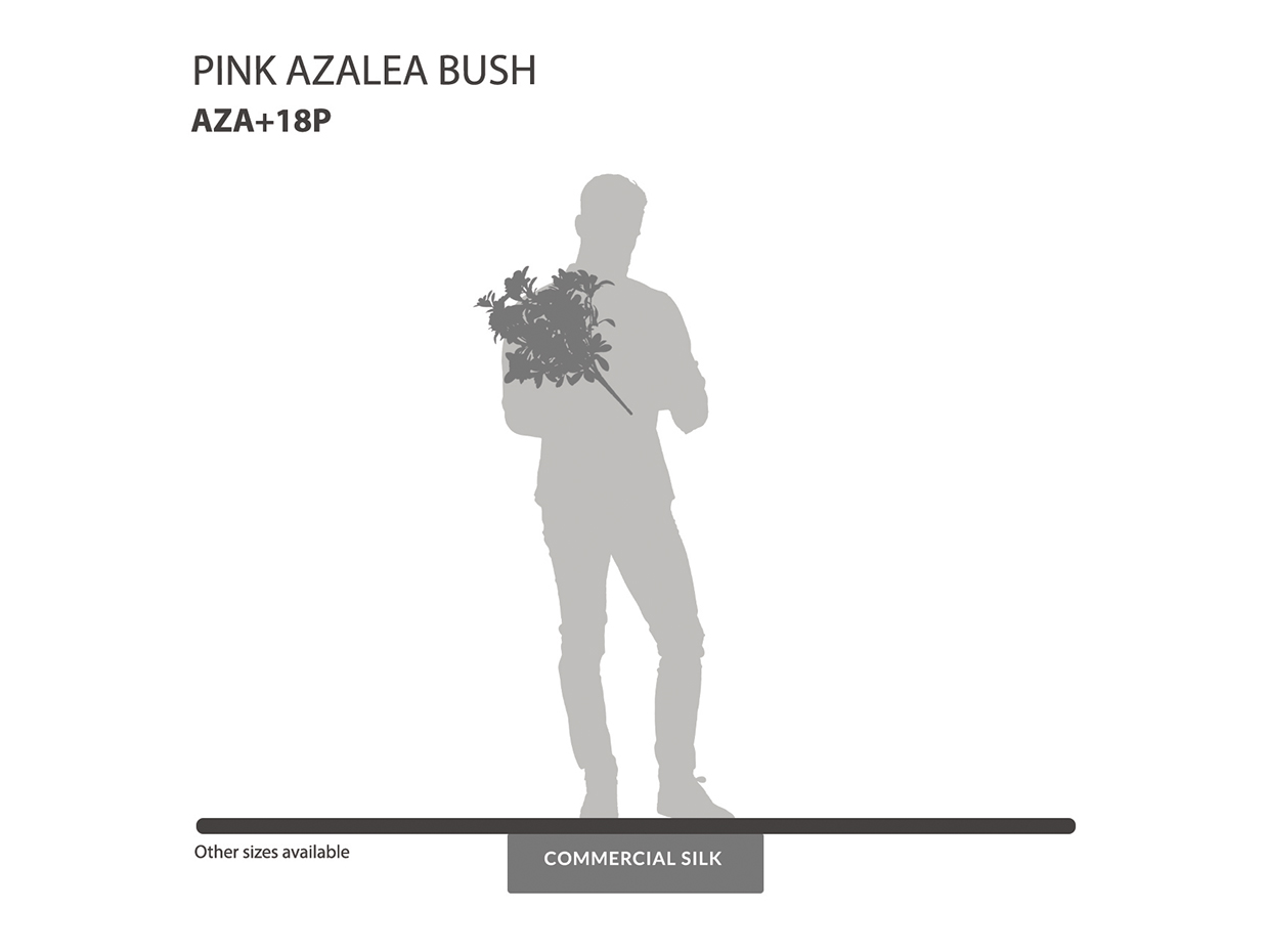 Azalea Flower Bush ID# AZA+18P