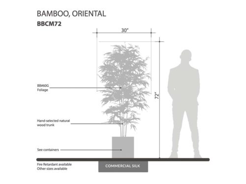 Oriental Bamboo Tree ID# BBCM72